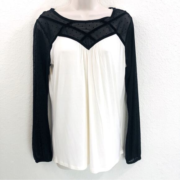 NWT August Silk Cream and Black Lace Top - Picture 1 of 16